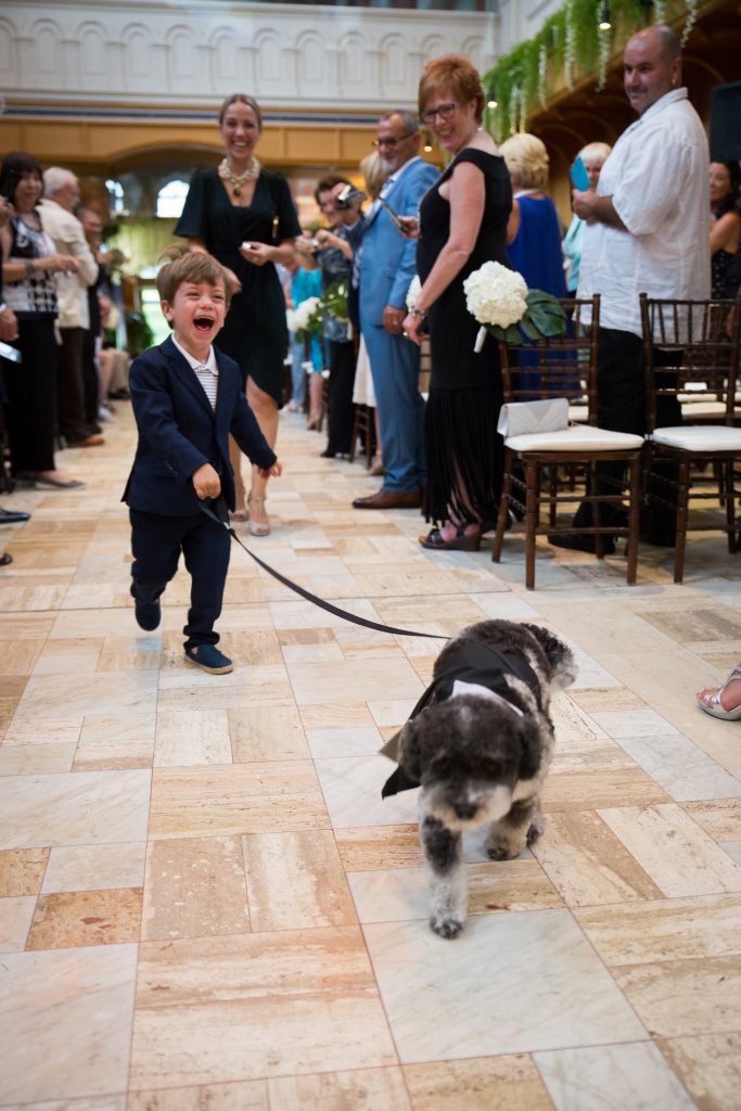 Dog walking down the aisle with ring boy